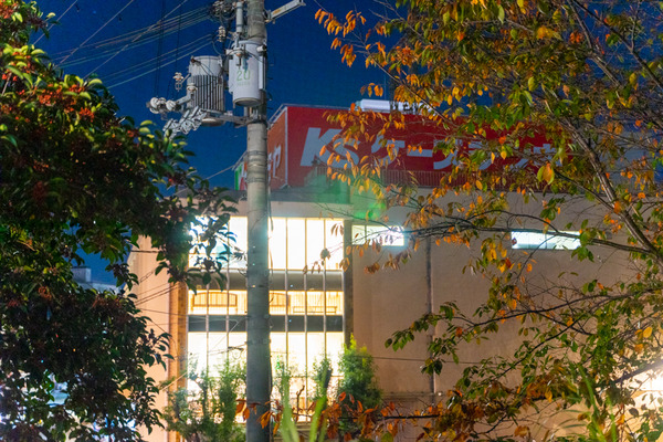 イズミヤ-2011147