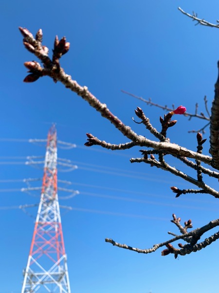 F3C31183-AD04-4A78-A85B-ABD594894F27