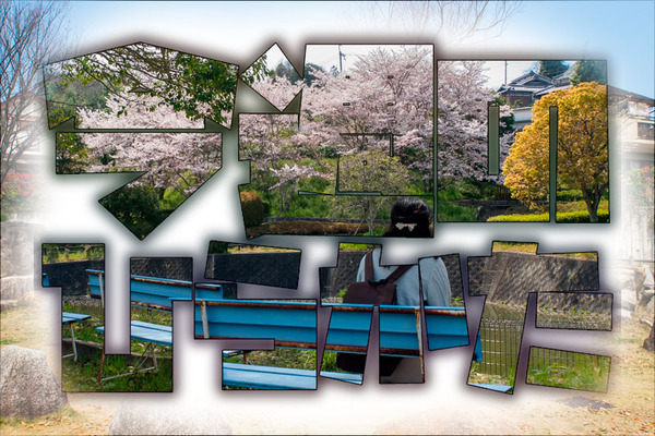 今週のひらかた