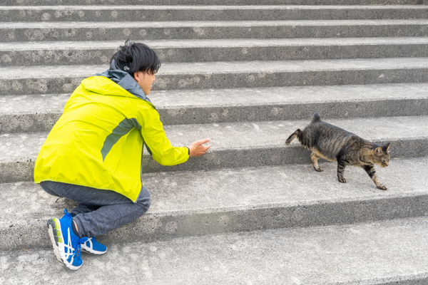 スケボー-20102212