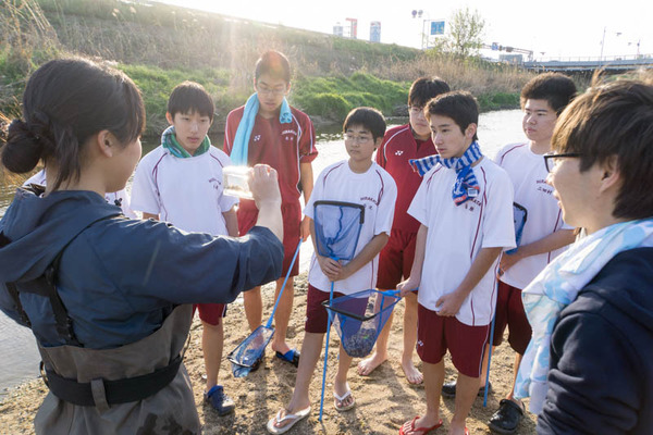 ぴー太郎-18041325
