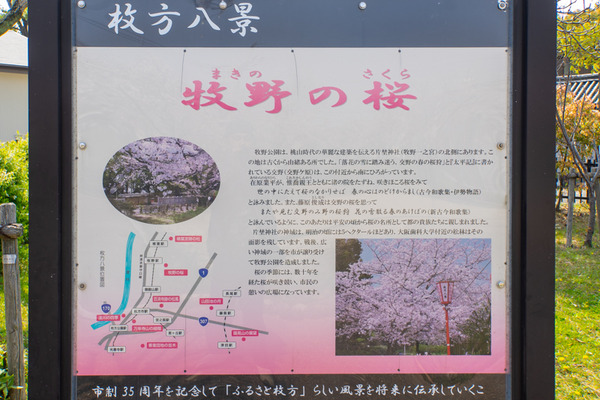 牧野公園-2004089