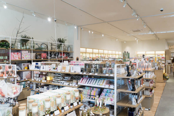 ブランチ松井山手-18121361