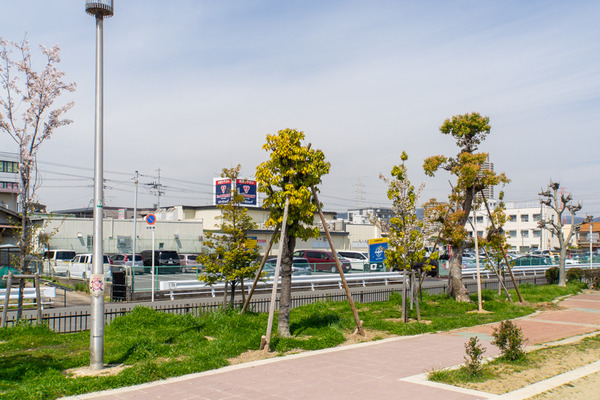 ふなはし公園-2004078