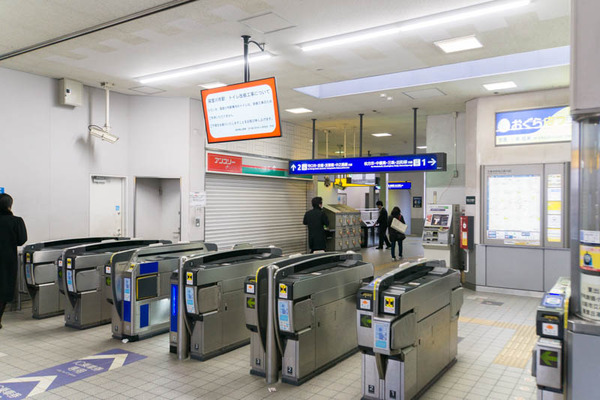 アンスリー-1803013