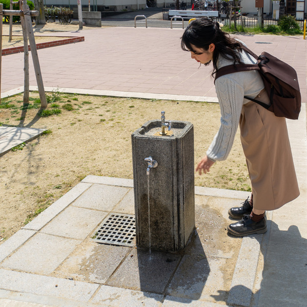 ふなはし公園-2004076
