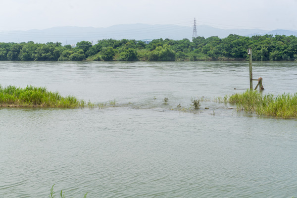 ワンド-2007204