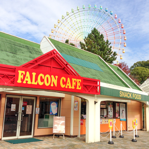 ファルコンカフェ-2