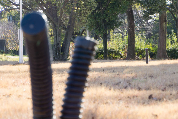 百済寺跡公園-16120314