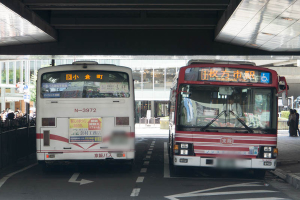 ビッグエコー-1807298