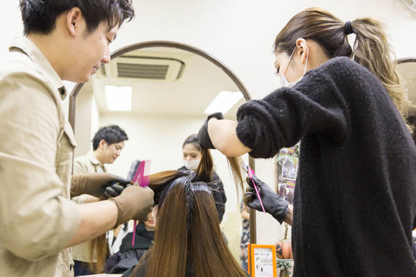 アンズ-18042852