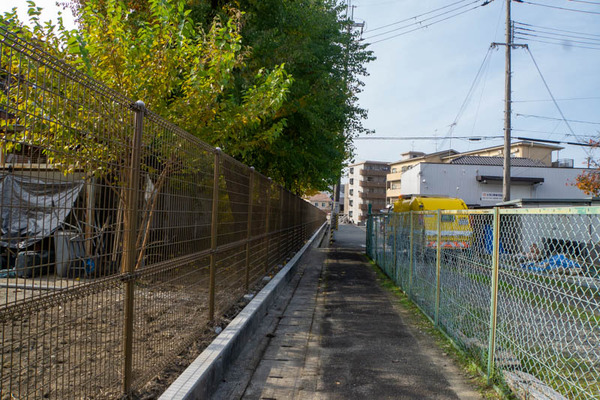 ひらこう-2011163