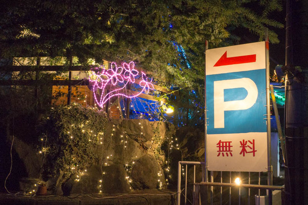 山ナリエ-16120910