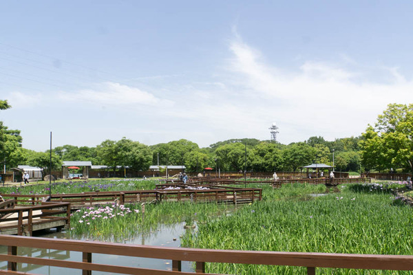 山田池公園-18052514