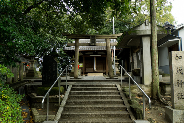 加茂神社-15122401