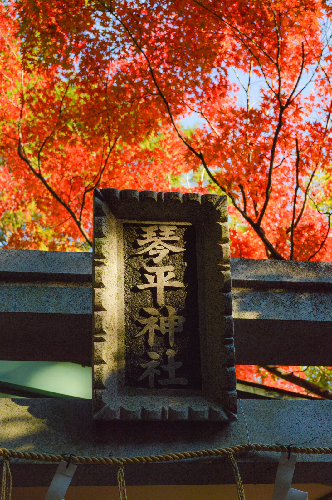 意賀美神社（琴平神社）の紅葉①