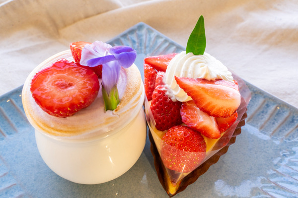 プティパニエ-2012187