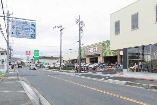 カプチーノヘアー-1705104