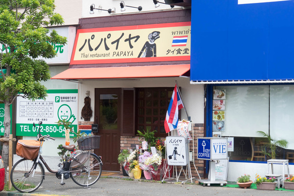 パパイヤ外観