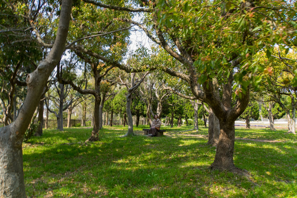 阪今池公園-20040813