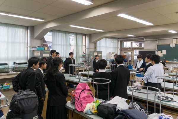 ぴー太郎-18041337