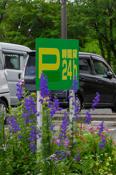 カンソーパーク-2005206