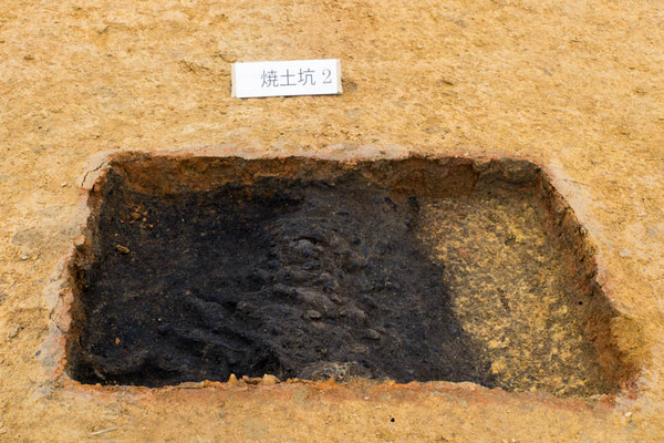 美濃山遺跡-1902099