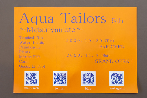 アクアテイラーズ-2010206