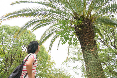 くずはワイン-192