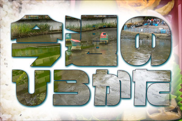 今週のひらかた