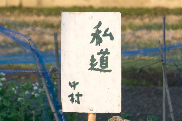 なかむらしどう-1804203