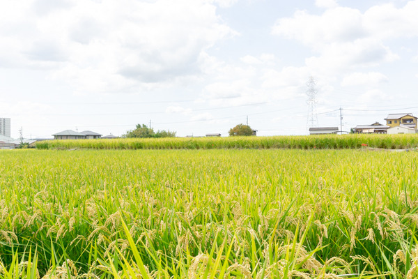 20200928京阪百貨店(小)-11