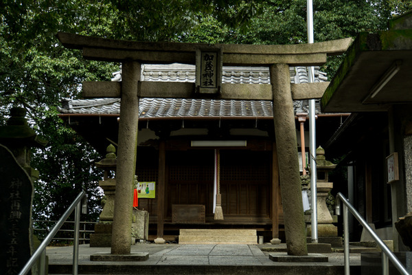 加茂神社-15122402