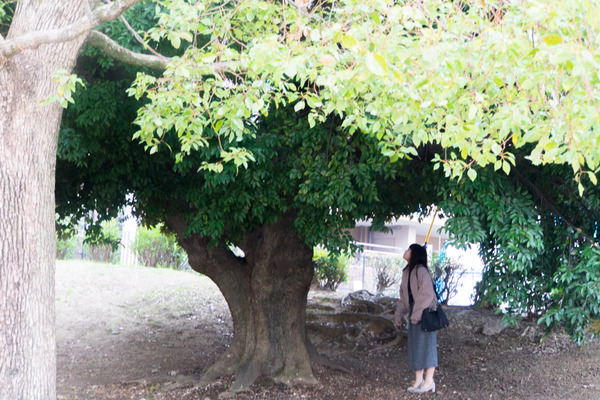 香里ケ丘西公園-20022513