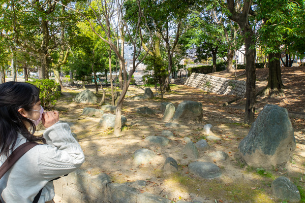 楠葉東公園-2004073