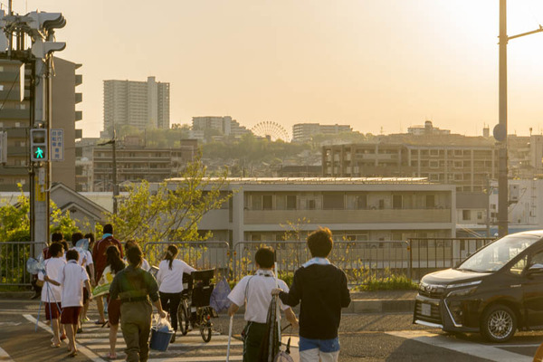 ぴー太郎-18041336