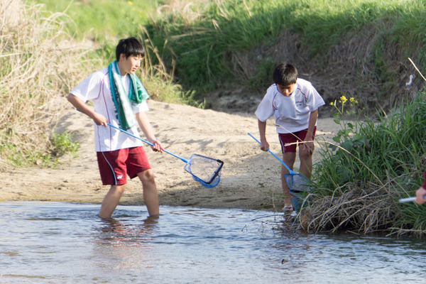 ぴー太郎-18041317