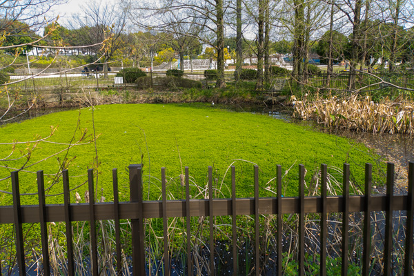 阪今池公園-20040816