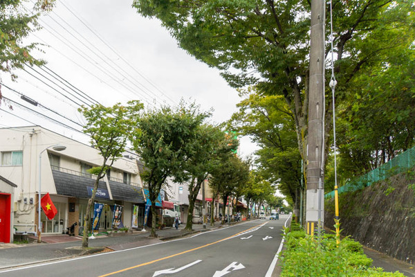 ベトナム-2010054