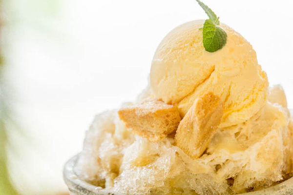 なかなかの森-1708043