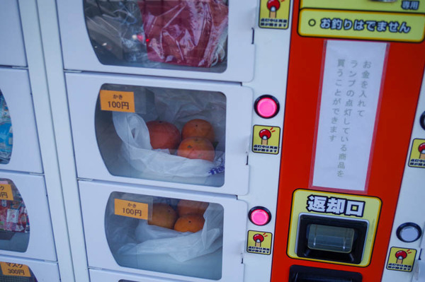 柿販売機-2011118