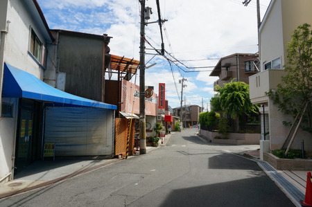 シャイングヤスイ130611-09