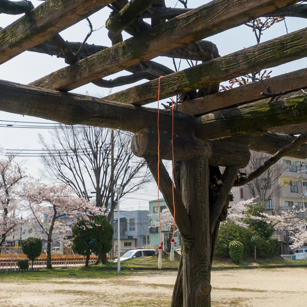 車谷公園-2004087