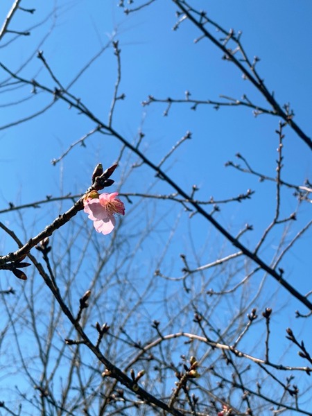 294E70C3-E971-4A9C-8894-B31C44C39BFC