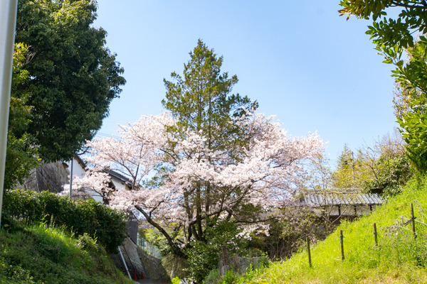 穂谷新池公園-20040717