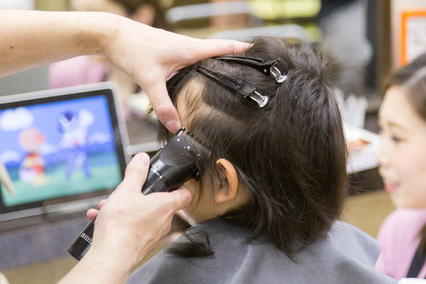 アンズ-18042828