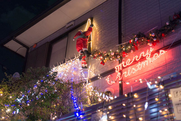 山ナリエ-16120914