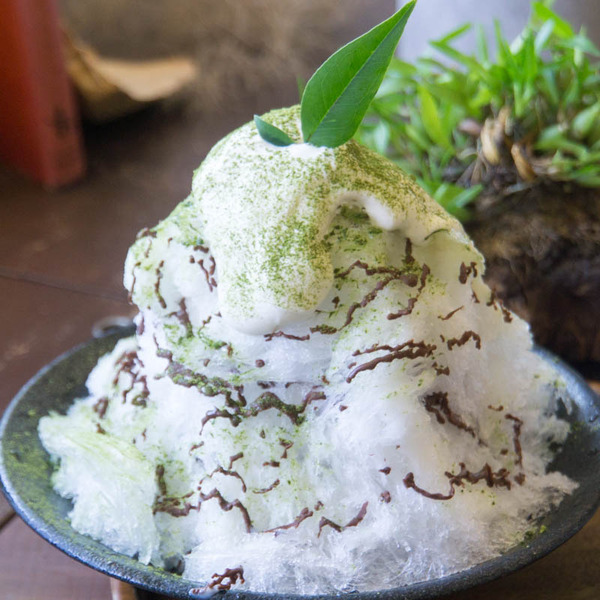 フラッグ-1808021