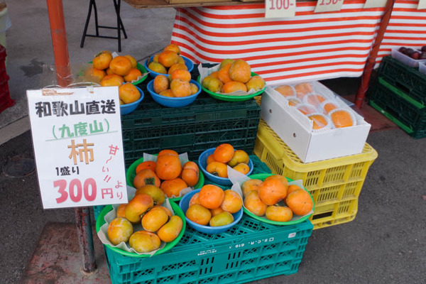 きんふる-2010073