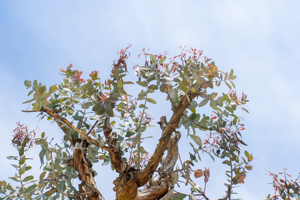 やまはら公園-20040715